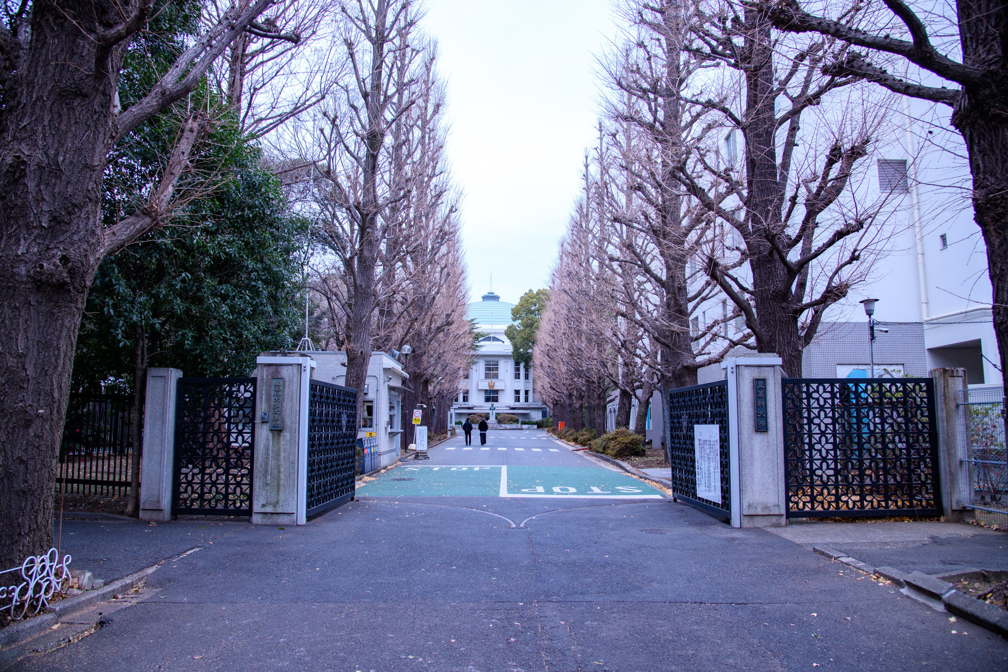 星薬科大学 正門